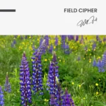 "Field Cipher" - Image 7