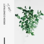 Green Construct – Glass - Image 5