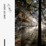 "Line of Light" - Image 7
