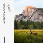 Meadow Accord – Glass - Image 5