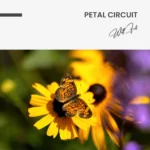 "Petal Circuit" - Image 7