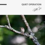 "Quiet Operation" - Image 7