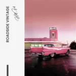 "Roadside Vintage" - Image 7