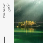 "Still Colony" - Image 7