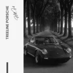 "Treeline Porsche" - Image 7