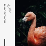"Tropical Curve" - Image 7