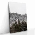 "Branchmark" - Image 2