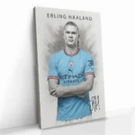 "Erling Haaland" - Image 2