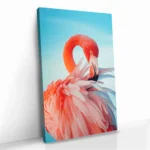 "Featherframe" - Image 2