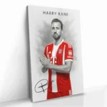 "Harry Kane" - Image 2
