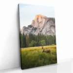 "Meadow Accord" - Image 2