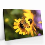 "Petal Circuit" - Image 2