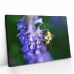 "Purple Run" - Image 2