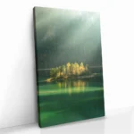 "Still Colony" - Image 2