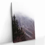 "Stone Fade" - Image 2