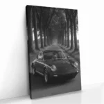 "Treeline Porsche" - Image 2