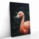 "Tropical Curve" - Image 2