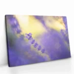 "Violet Frequency" - Image 2