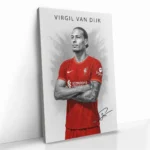 "Virgil van Dijk II" - Image 2