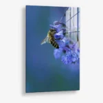Blue Range Work – Glass