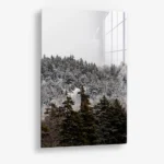 Branchmark – Glass