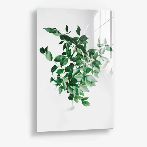 Green Construct – Glass
