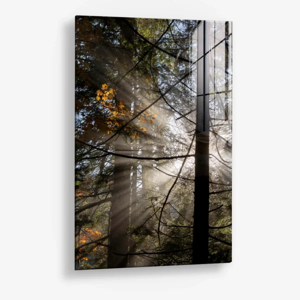 Line of Light – Glass