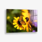 Petal Circuit – Glass