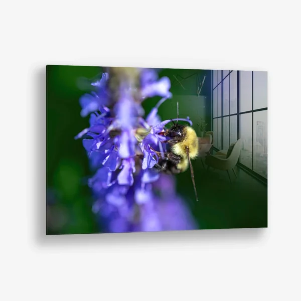 Purple Run – Glass