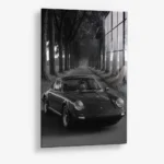 Treeline Porsche – Glass