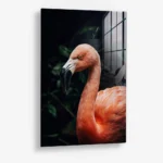 Tropical Curve – Glass