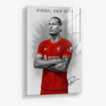Virgil van Dijk II – Glass