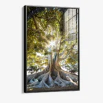 Anchorlight – Glass - Image 2