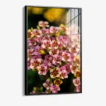 Crimson Ratio – Glass - Image 2