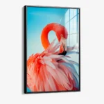 Featherframe – Glass - Image 2