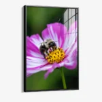Flarepoint – Glass - Image 2