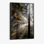 Line of Light – Glass - Image 2