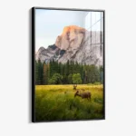 Meadow Accord – Glass - Image 2