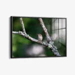Quiet Operation – Glass - Image 2