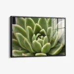 Thorn Array – Glass - Image 2