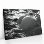 "The Shiny Object" gallery 1