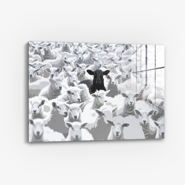 The Black Sheep - Glass