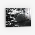 The Shiny Object - Glass