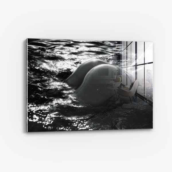 The Shiny Object - Glass