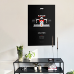 "Ayrton Senna" gallery 2