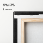 "Fernando Alonso" gallery 4