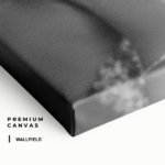 "Fast & Furry" gallery 3