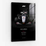 Mika Häkkinen - Glass