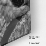 Fast & Furry - Glass gallery 2